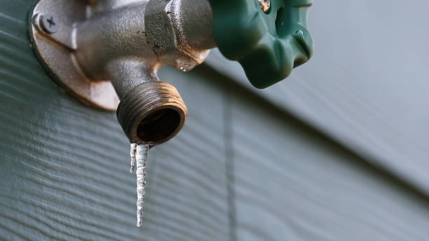 Best Shower Repair Services  in Forks, WA